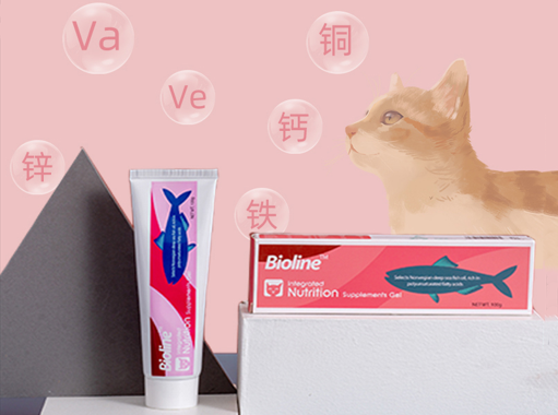 了解宠物营养膏功效