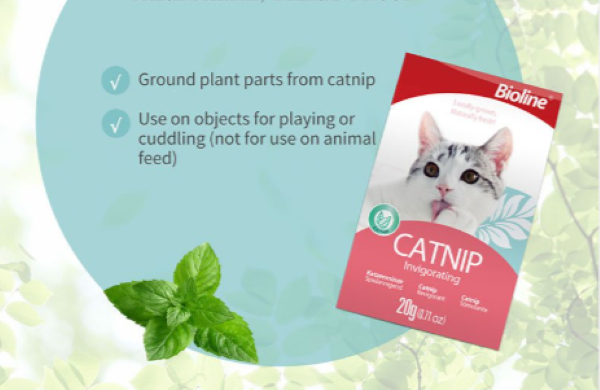 猫薄荷叶子：解锁猫咪快乐密码的神奇绿色魔法
