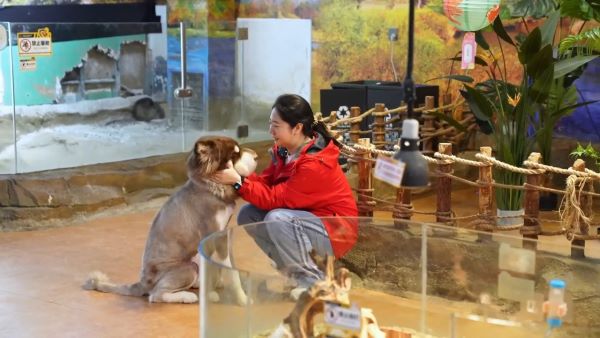 王牌集团——职场新伙伴 宠物来报道