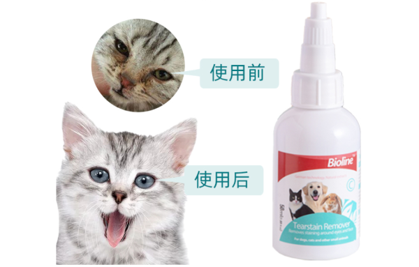 如何判断宠物是否需要去泪痕液？