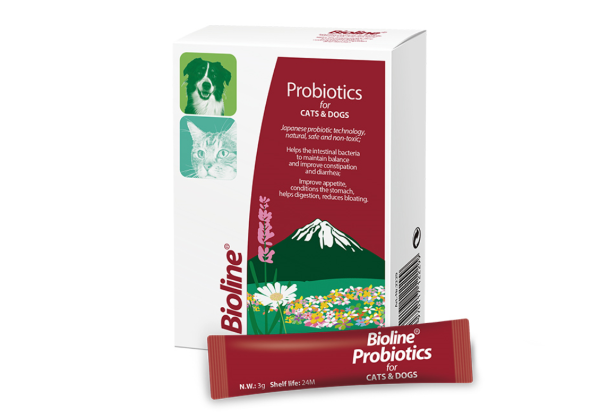 犬猫通用益生菌，如何科学调理宠物肠胃？