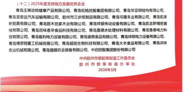 深耕地方经济——王牌集团获评2025年度支持地方发展优秀企业