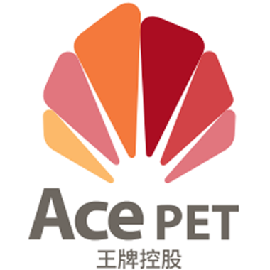 青岛王牌控股有限公司