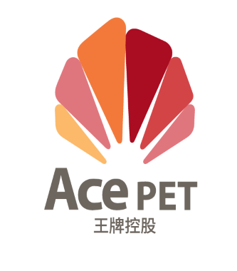 青岛王牌控股有限公司