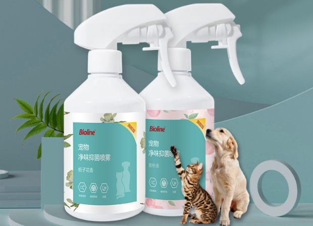 如何温和守护猫咪与居家环境？